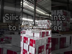 シリコンシーラント1