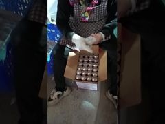 エポキシレバー